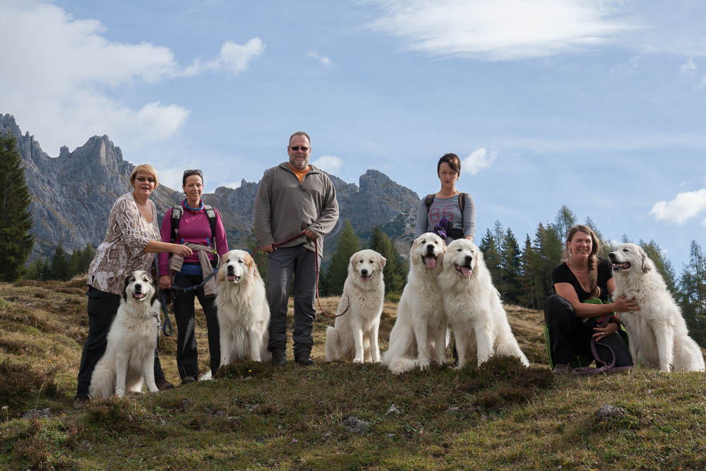 News und Bilder vom Pyrenäenberghund Welpentreffen 2013 - Gruppenbild