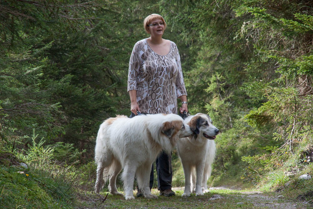 News und Bilder vom Pyrenäenberghund Welpentreffen 2013 - Balou und Cendrine