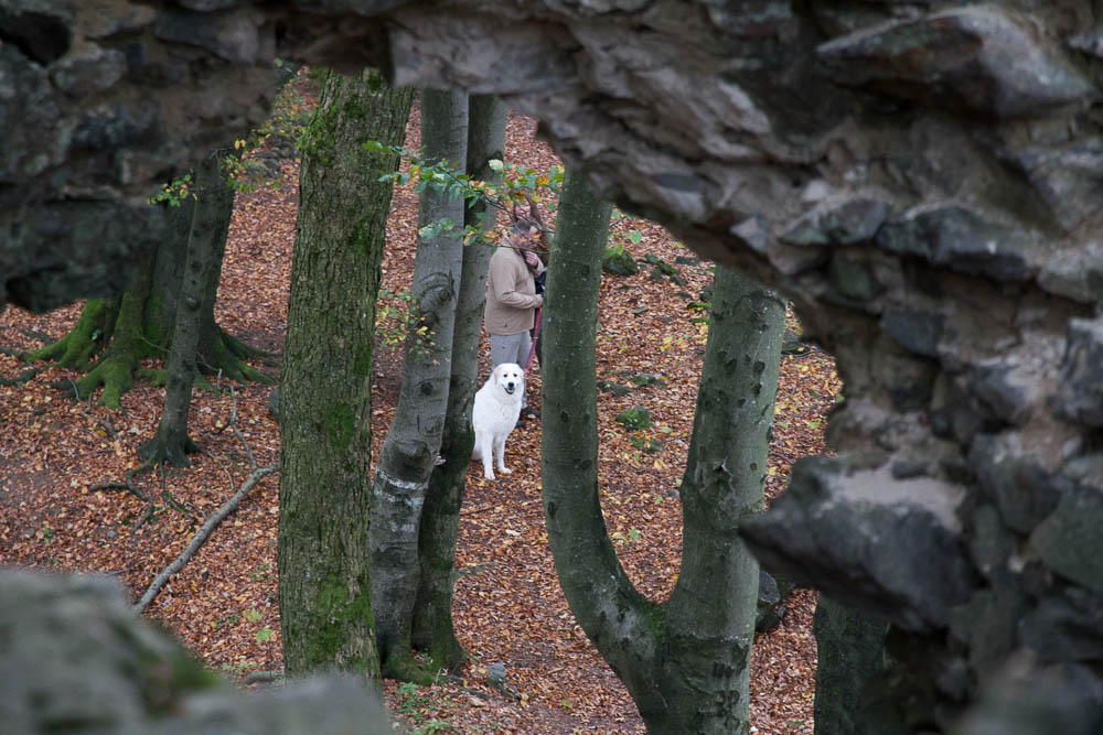 Pyrenäenberghund - Herbstwochenende in Rötz Oktober 2014