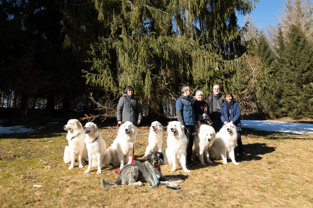 Pyrenäenberghund - 07. März 2021 - Wanderung Thüringer Wald (Schönbrunn) - Gruppenbild